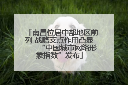 南昌位居中部地区前列 战略支点作用凸显——“中国城市网络形象指数”发布
