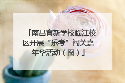 南昌育新学校临江校区开展“乐考”闯关嘉年华活动（图）