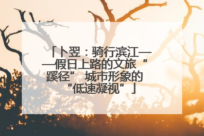 卜翌：骑行滨江——假日上路的文旅“蹊径” 城市形象的“低速凝视”