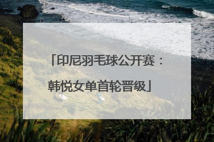 印尼羽毛球公开赛：韩悦女单首轮晋级