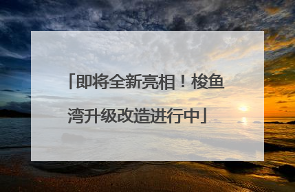 即将全新亮相！梭鱼湾升级改造进行中