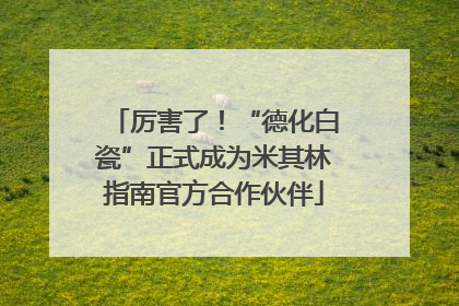 厉害了！“德化白瓷”正式成为米其林指南官方合作伙伴
