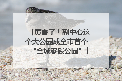 厉害了！副中心这个大公园成全市首个“全域零碳公园”