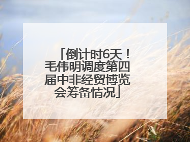 倒计时6天！毛伟明调度第四届中非经贸博览会筹备情况