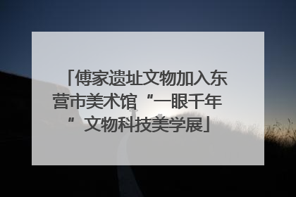 傅家遗址文物加入东营市美术馆“一眼千年”文物科技美学展