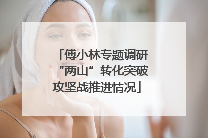 傅小林专题调研“两山”转化突破攻坚战推进情况