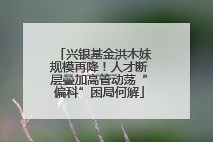 兴银基金洪木妹规模再降！人才断层叠加高管动荡“偏科”困局何解