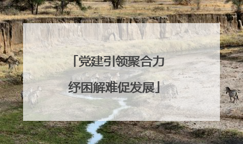 党建引领聚合力 纾困解难促发展