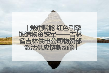 党建赋能 红色引擎锻造物资铁军——吉林省吉林供电公司物资部激活供应链新动能