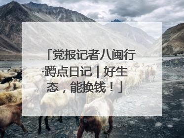 党报记者八闽行·蹲点日记｜好生态，能换钱！