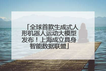 全球首款生成式人形机器人运动大模型发布！上海成立具身智能数据联盟