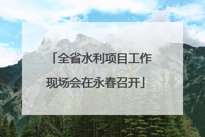 全省水利项目工作现场会在永春召开