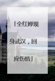 全红婵现身武汉，回应伤情