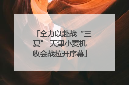 全力以赴战“三夏” 天津小麦机收会战拉开序幕