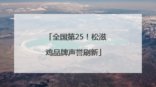 全国第25！松滋鸡品牌声誉刷新