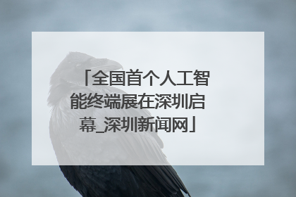 全国首个人工智能终端展在深圳启幕_深圳新闻网