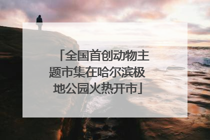 全国首创动物主题市集在哈尔滨极地公园火热开市