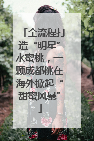 全流程打造“明星”水蜜桃，一颗成都桃在海外掀起“甜蜜风暴”