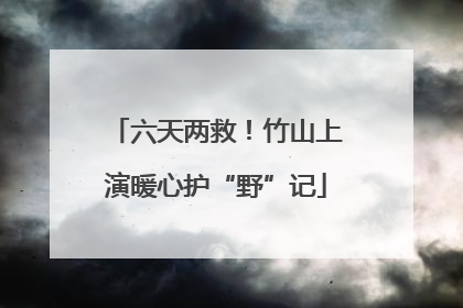 六天两救！竹山上演暖心护“野”记