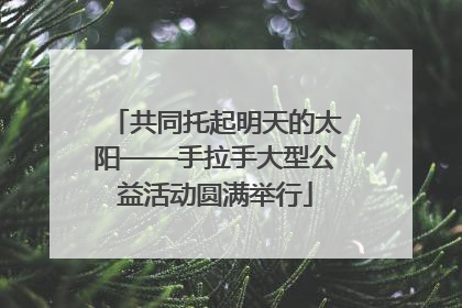 共同托起明天的太阳——手拉手大型公益活动圆满举行