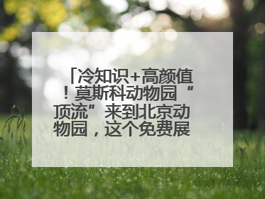 冷知识+高颜值！莫斯科动物园“顶流”来到北京动物园，这个免费展览，遛娃拍照两不误！
