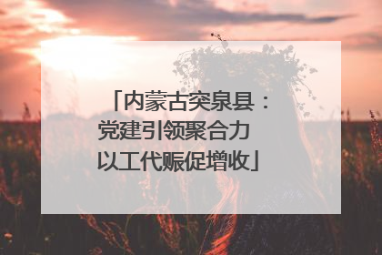 内蒙古突泉县：党建引领聚合力 以工代赈促增收