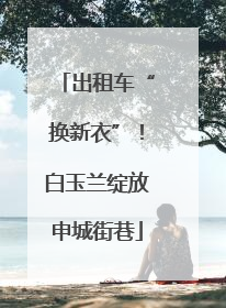 出租车“换新衣”！白玉兰绽放申城街巷