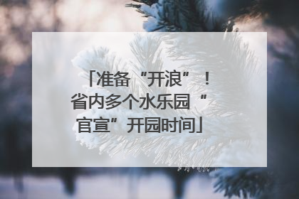 准备“开浪”！省内多个水乐园“官宣”开园时间