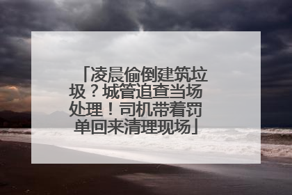 凌晨偷倒建筑垃圾？城管追查当场处理！司机带着罚单回来清理现场