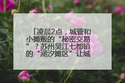 凌晨2点，城管和小摊贩的“秘密交易”？苏州吴江七都镇的“潮汐摊区”让城市管理有了人情味