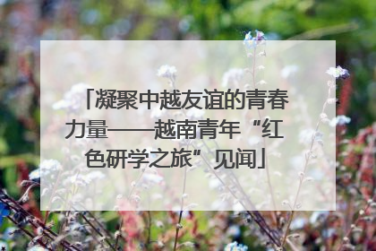 凝聚中越友谊的青春力量——越南青年“红色研学之旅”见闻