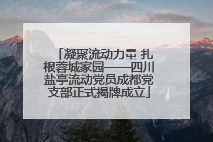 凝聚流动力量 扎根蓉城家园——四川盐亭流动党员成都党支部正式揭牌成立