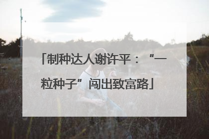 制种达人谢许平：“一粒种子”闯出致富路