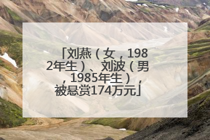 刘燕（女，1982年生）、刘波（男，1985年生），被悬赏174万元