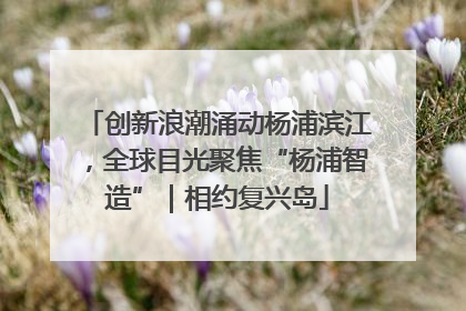 创新浪潮涌动杨浦滨江，全球目光聚焦“杨浦智造”｜相约复兴岛