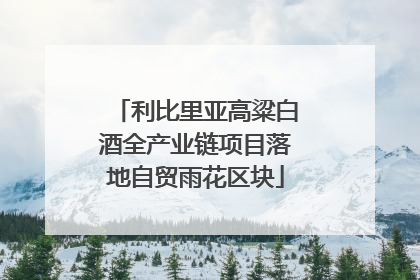 利比里亚高粱白酒全产业链项目落地自贸雨花区块