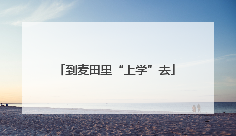到麦田里“上学”去