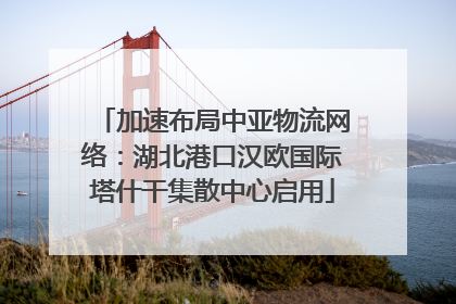 加速布局中亚物流网络：湖北港口汉欧国际塔什干集散中心启用