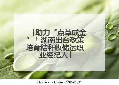 助力“点草成金”！湖南出台政策培育秸秆收储运职业经纪人