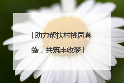 助力帮扶村桃园套袋，共筑丰收梦