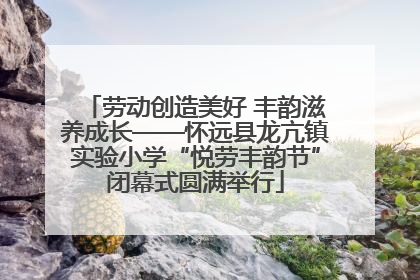 劳动创造美好 丰韵滋养成长——怀远县龙亢镇实验小学“悦劳丰韵节”闭幕式圆满举行