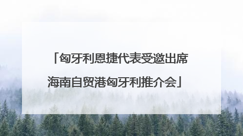 匈牙利恩捷代表受邀出席海南自贸港匈牙利推介会
