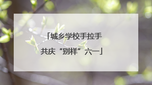 城乡学校手拉手 共庆“别样”六一