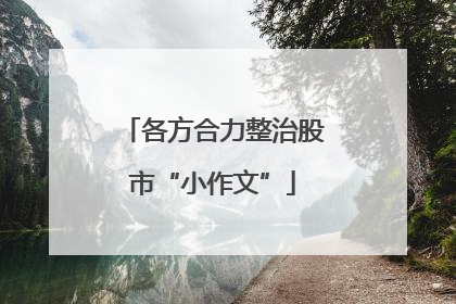 各方合力整治股市“小作文”