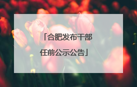 合肥发布干部任前公示公告