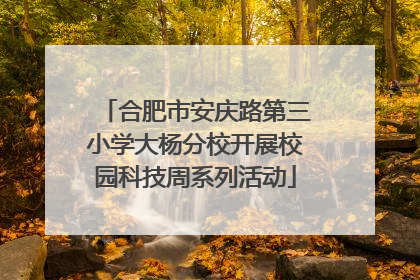 合肥市安庆路第三小学大杨分校开展校园科技周系列活动