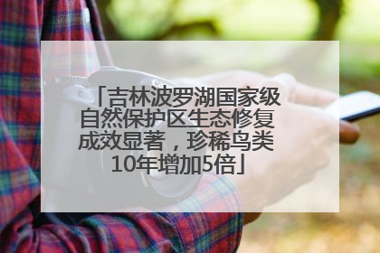 吉林波罗湖国家级自然保护区生态修复成效显著，珍稀鸟类10年增加5倍