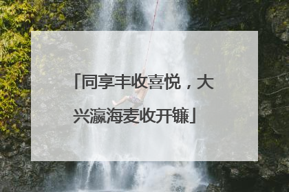 同享丰收喜悦，大兴瀛海麦收开镰