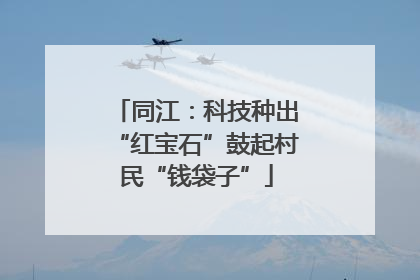 同江：科技种出“红宝石”鼓起村民“钱袋子”