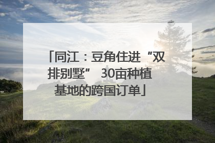 同江：豆角住进“双排别墅” 30亩种植基地的跨国订单